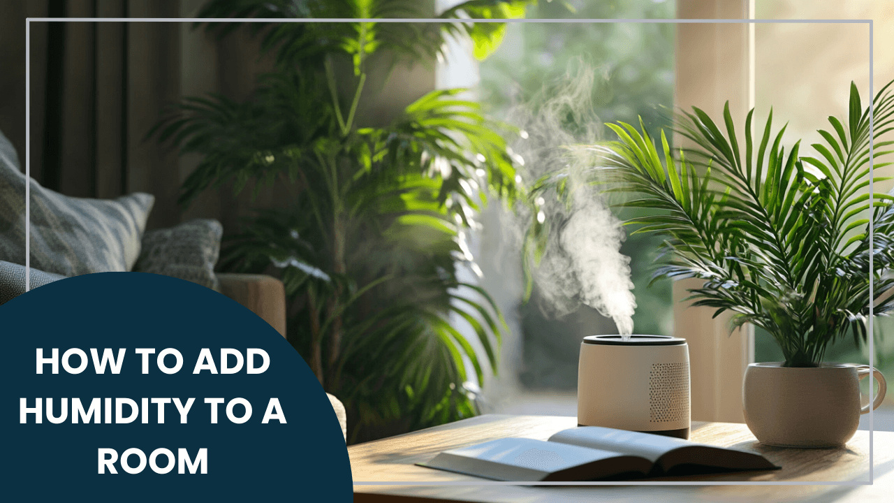 How to Add Humidity to a Room: Best Ways