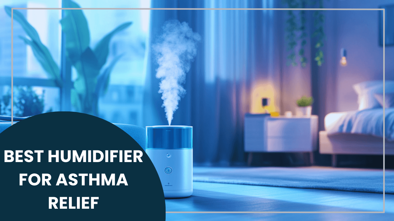 Best Humidifier For Asthma Relief: Top Picks and Benefits