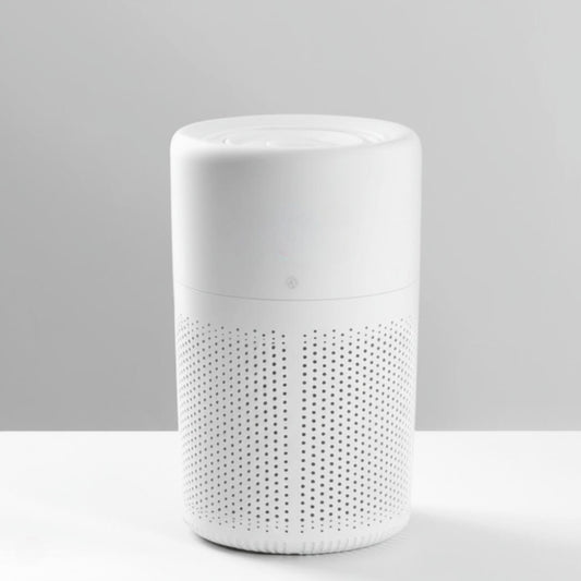 Air Purifier 2-in-1